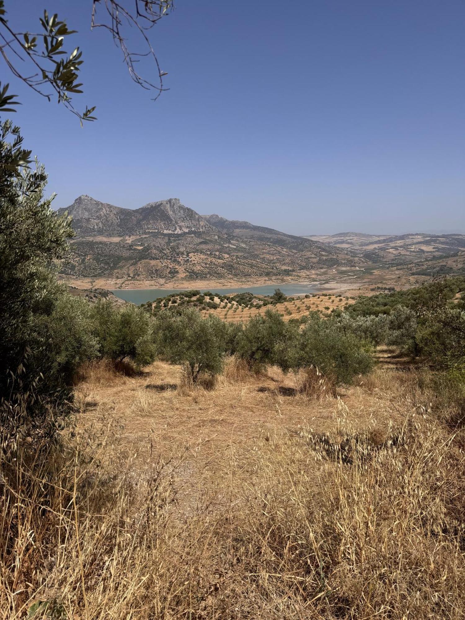 Finca Luca Oliva Zahara De La Sierra Extérieur photo